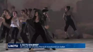 Peau d&#039;Âne: un conte transformé en ballet