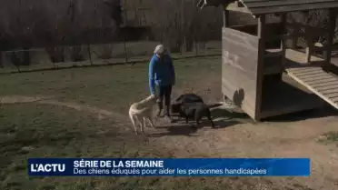 1er épisode de notre série sur des chiens dressés pour aider