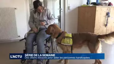 3ème épisode des chiens dressés pour aider