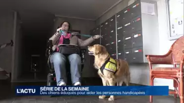 4ème épisode de notre série: des chiens dressés pour aider