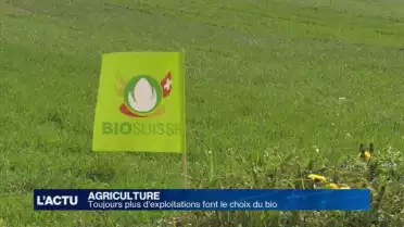 Toujours plus d'agriculteurs font le choix du bio