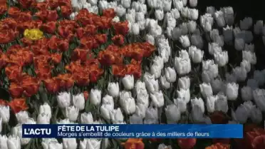 Morges s&#039;embellit de couleurs grâce à des milliers de fleurs