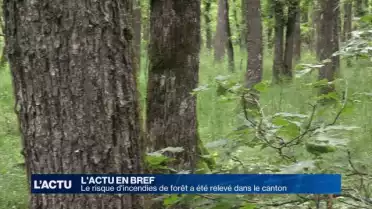 Le risque d&#039;incendies de forêt a été relevé