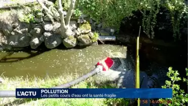 Les petits cours d&#039;eau ont la santé fragile