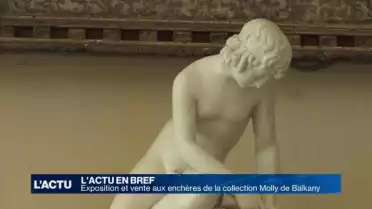 Vente aux enchères de la collection Molly de Balkany