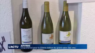 Coup d&#039;envoi de la 22ème édition d&#039;Arvinis