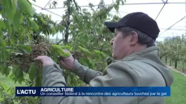 Gel: un conseiller fédéral auprès des agriculteurs