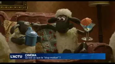 Qu'est ce que le stop motion ?