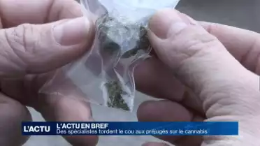 Des spécialistes dénoncent les préjugés sur le cannabis
