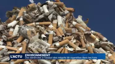 Des bénévoles à l'assaut des mégots de cigarettes