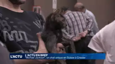 Un chat unique en Suisse exposé à Crissier