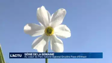 Au coeur du Parc naturel régional Gruyère Pays-d'Enhaut (1)