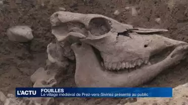 Visite de fouilles à Prez-vers-Siviriez