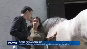 La thérapie avec le cheval apaise et stimule