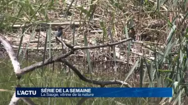 La nature en vitrine à La Sauge 2/4
