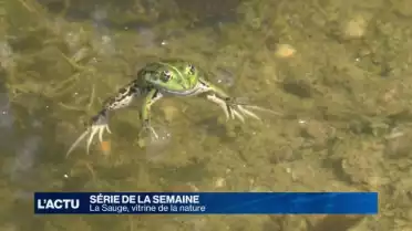 La nature en vitrine à La Sauge 3/4