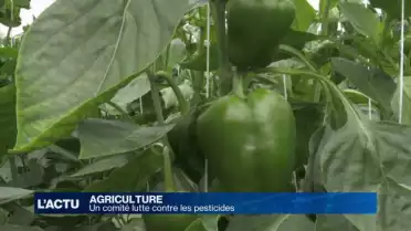Un comité lutte contre les pesticides