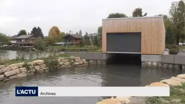 Des millions d’œuf de poissons perdus
