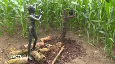 La culture s’invite dans le labyrinthe de maïs à Orbe