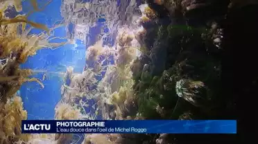 L&#039;eau douce dans l&#039;oeil du photographe Michel Roggo