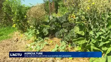 Une culture locale et bio aux portes de Lausanne