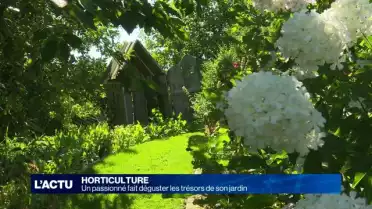 Un passionné fait déguster les trésors de son jardin
