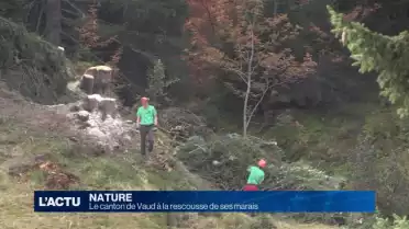 Le canton de Vaud à la rescousse de ses marais