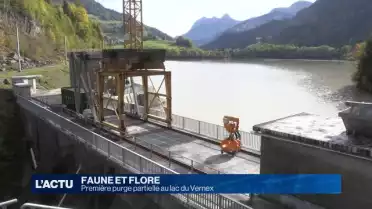 Première purge partielle au lac du Vernex
