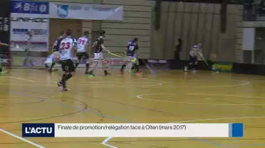 Fribourg, le néopromu en LNB qui déjoue tous les pronostics