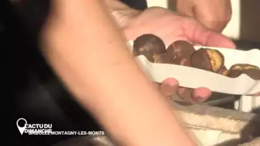 120 kilos de marrons écoulés à la brisolée de Montagny.
