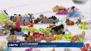 22 containers de peluches ont été récoltés par le LHC