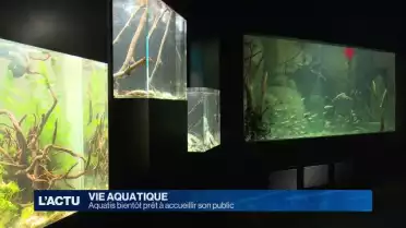 Aquatis bientôt prêt à accueillir son public