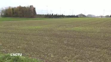 Projet de Gymnase à Echallens