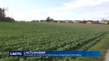 Demande de crédit de 5 millions pour un gymnase à Echallens