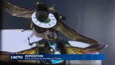Deux mondes sur les Ailes du Temps