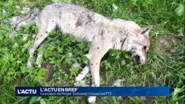 Le poison de Roger Schuwey n&#039;a pas tué F13