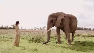 La sélection MX3 de la semaine