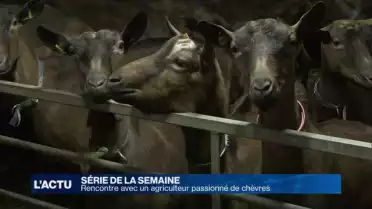 Un jeune agriculteur se consacre à sa passion: les chèvres