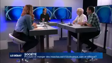 Produire des insectes est-il éthique, écologique, rentable ?