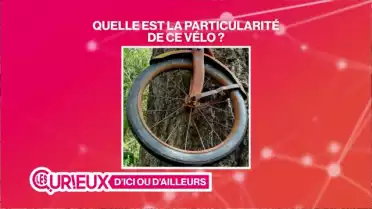Un vélo de 1914 incrusté dans un arbre