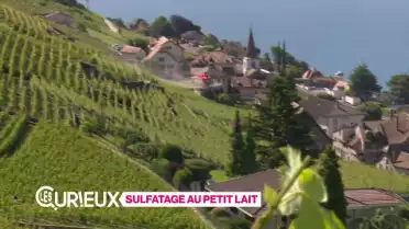 Sulfatage au petit lait
