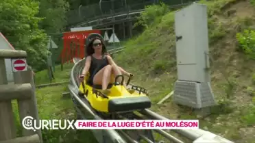 Luge d&#039;été au Moléson