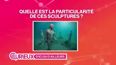 Un musée au fond de l&#039;océan