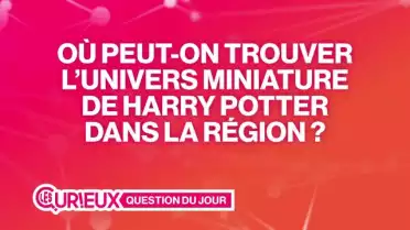 Où se trouve l&#039;univers miniature de Harry Potter ?