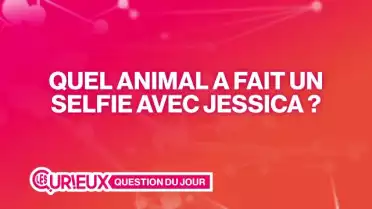 Quel animal a fait un selfie avec Jessica ?