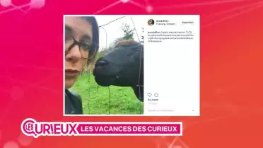 Les vacances d&#039;automne des Curieux