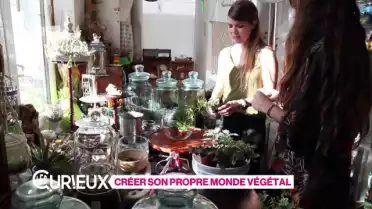 Créer son propre monde végétal