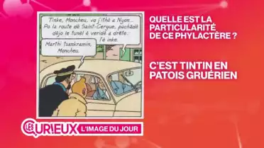 Tintin apprend le patois gruérien