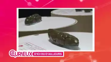 Un musée dédié aux toilettes