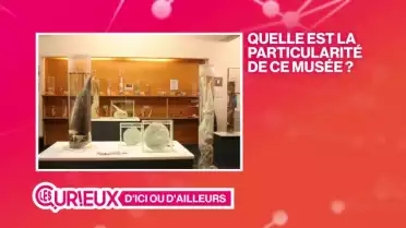Un musée rempli de phallus